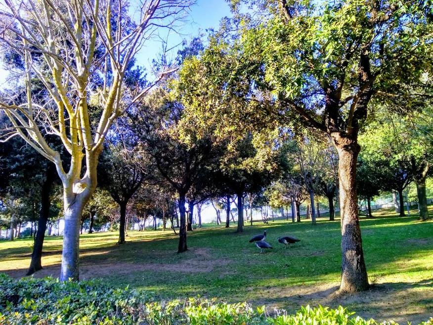 Castelvì Rooms Cagliari Ngoại thất bức ảnh